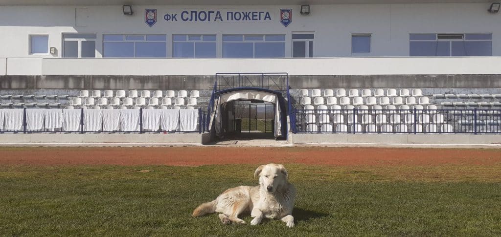 Blento Sloga Požega